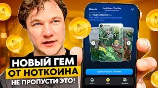 КАК ПОБЕЖДАТЬ В LOST DOGS? | ОБЗОР НОВОГО ПРОЕКТА ОТ NOTCOIN