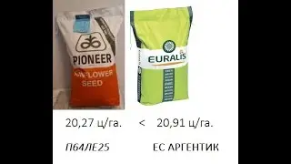 2022 LIDEA Уборка П64ЛЕ25 и ЕС АРГЕНТИК , ЕВРАЛИС  БОЛЕЕ УРОЖАЙНЫЙ !!!!Шок или Закономерность