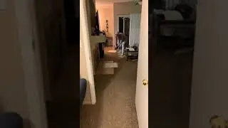 brrrr gogogo