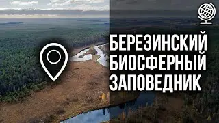 Березинский биосферный заповедник