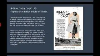 Billion Dollar Crop