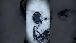 В эфире программа 