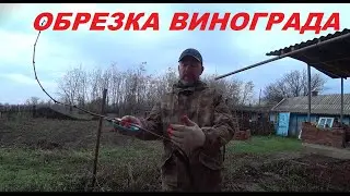 45. КУПИЛИ УСАДЬБУ, ВОССТАНАВЛИВАЕМ! Обрезка винограда и кладка веранды.