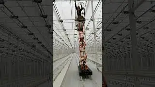 Установка ламп. Мичуринск тепличный комплекс зеленый гай.