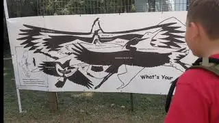 Hummingbird festival vlog