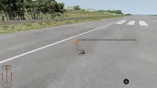 Nake pigeon