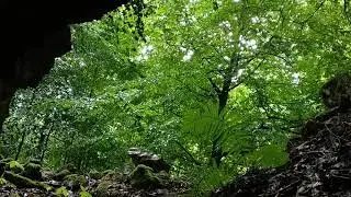 Rain and distant thunder noises, view from a small cave during a thunderstorm