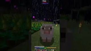 notice me senpai #brainrot #minecraft #sugarcrash #bemax