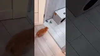 Здесь главное подкрепиться 🤣🤣 