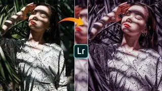 Lightroom photo editing tutorial || preset tone download free || step by step in Hindi
