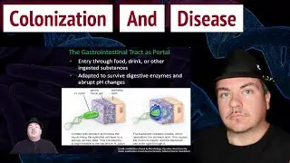 When Colonization Leads to Disease