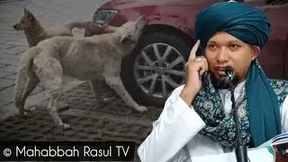 Adakah Wajib Basuh 7 Kali Kenderaan Yg Di Sentuh/Jilat Anjing & Babi