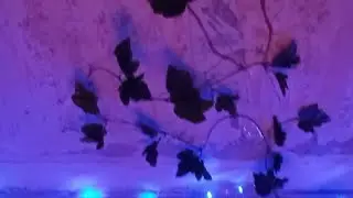Стрим!!! Если нечего делать заходи