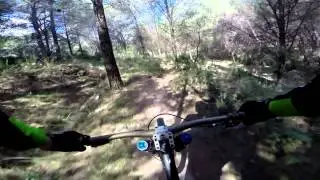 Switch Backs - Happy Days - 2014