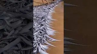 Wow Amazing 😱