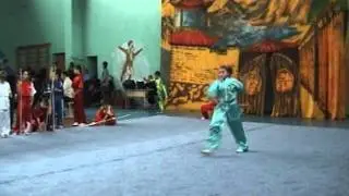 Открытый Кубок Донецкой области по ушу   67