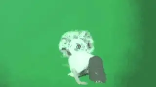 Green Screen FX, Ghost Bursts Through Wall 320p