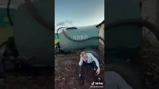 СОБАКА КАКАЛА СОБАКА ПИСАЛА КЛАССНЫЙ МУЗОНЧИК