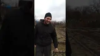 Зимова капуста