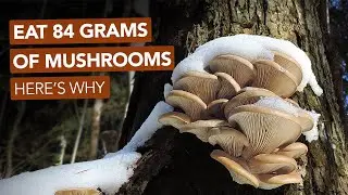 Eat 84 Grams Of Mushrooms. Here's Why.