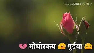 new Love Story video  2019