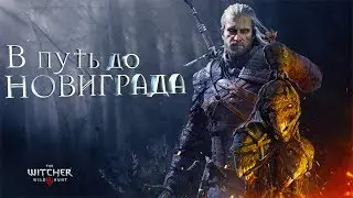 The Witcher: Wild Hunt - Мод "Школа Плотвы" (Запись стрима) №5
