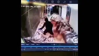 Fish react him
