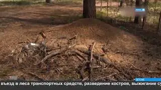 В регионе введен противопожарный режим