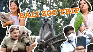 BALI VLOG PART 2 | Bali Zoo & Water Sport