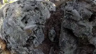 ЛАБИРИНТ