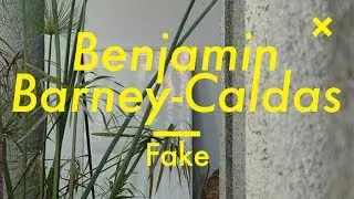 Fake, Benjamín Barney-Caldas, Colombia