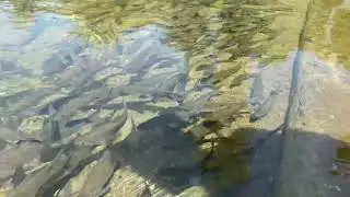 Near Kankai temple Beautiful River
