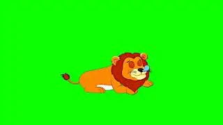 Lion green screen no copyright free video/Lion green screen video