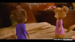 Chipettes by salsa night