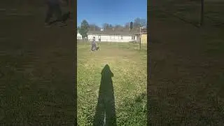 Free throws part one
