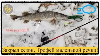 Закинул приманку под куст... Крупная щука малой реки!