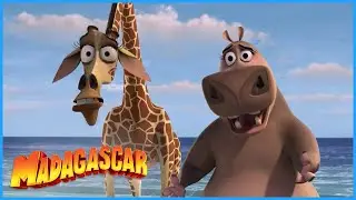 DreamWorks Madagascar | Look it's Gloria!! | Madagascar Movie Compilation