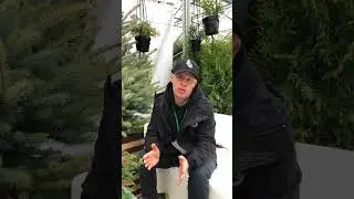Приглашение на Конгресс от Вячеслава Бушуева