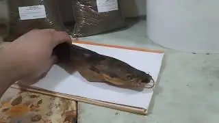 КОПЧЕНЫЙ МРАМОРНЫЙ СОМ