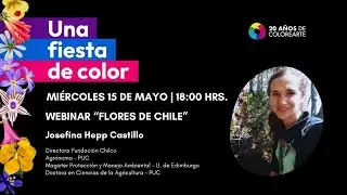 Webinar 