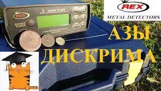 Rex Land Craft Deep Metal Detector Discrimination Settings!