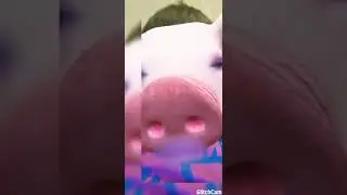 Всё всё держыте фильм;)