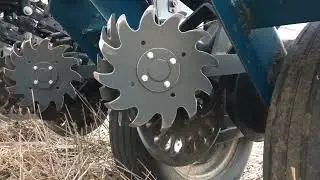 Завершую посів гречкою