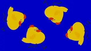 GREEN SCREEN ANIMATION CARTOON | Fat Yellow chicken Walking