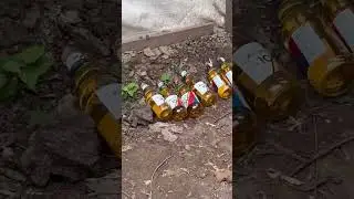 ЗАБРЕЛИ В ГЛУХОЕ МЕСТО