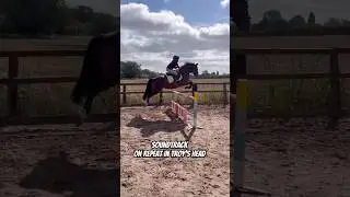 Troys jumping Soundtrack 🤩😂. #horse #equestrian #showjumping #horselover #horseriding #pony