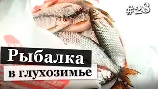 Зимняя рыбалка в глухозимье. Не без огорчения.
