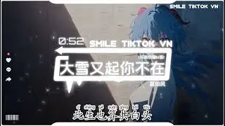 夏如风 - 大雪又起你不在 (抖音热播DJ版) Đại Tuyết Rơi Em Không Còn Nơi Đây『大雪又起 你不在，可我想要你的爱，头也不回的离开』抖音火流行歌曲推荐TikTok