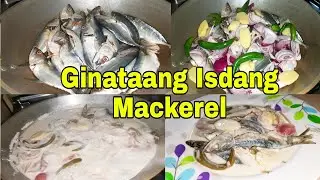 how to cook ginataang Isdang Mackerel | Fish Mackerel in Coconut Milk