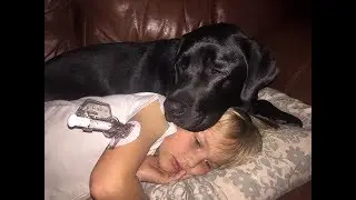 This Mom’s Dog Knew Something Was Very Wrong With Her Son – And What The Pooch Did Saved His Life